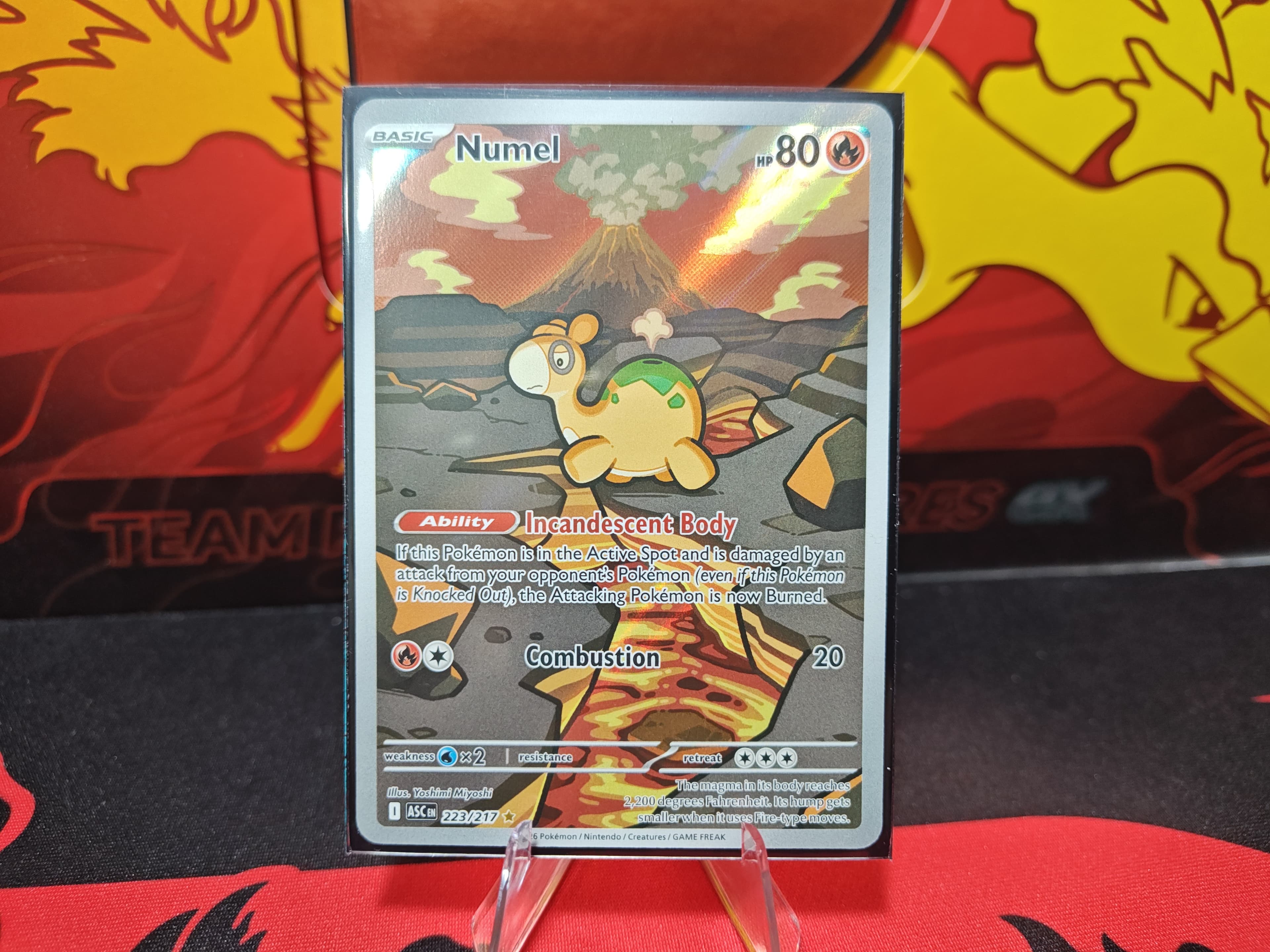 Numel
